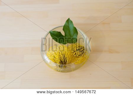 yellow and green botanical on table .