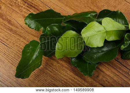 Kafir Lime Leaves