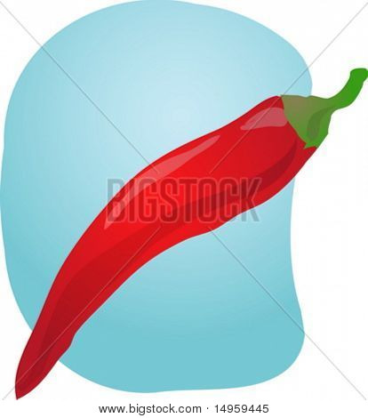 Szkic chilli. Ręcznie rysowane przebiegłość spojrzenie ilustracja