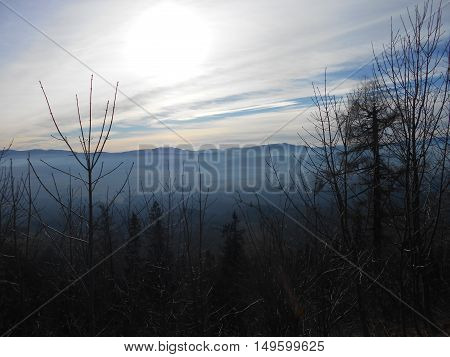 Cold winter scene of  forest and foggy mountains