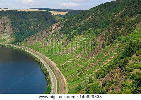 Moselle valley in summer with Mosel and vineyards.