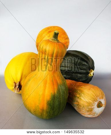 Decorative Pumpkins For Halloween