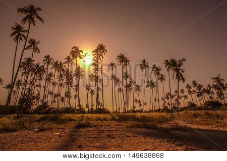 Landscapes On An Island