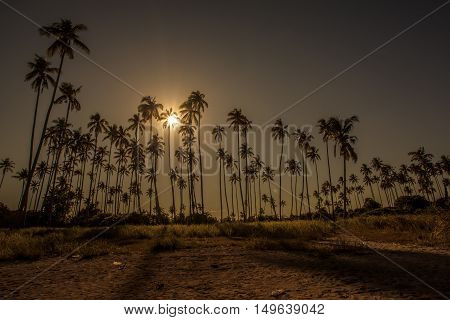Landscapes On An Island