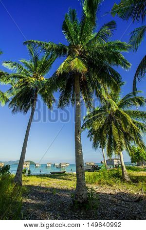 Landscapes On An Island