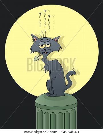 Streetcat