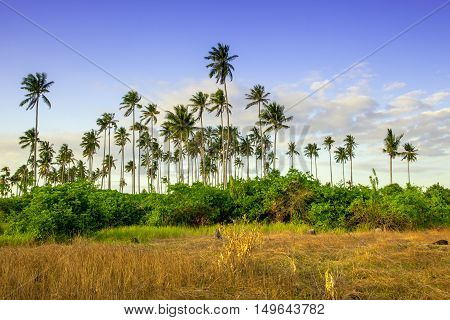 Landscapes On An Island