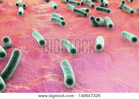 Bacteria on surface of skin, mucous membrane or intestine, model of Escherichia coli, Salmonella, Mycobacterium tuberculosis, simulating electron microscope, 3D illustration