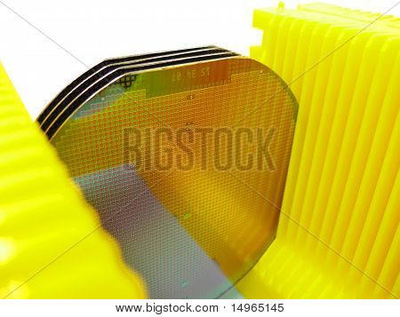 Wafer di silicone In un vettore giallo