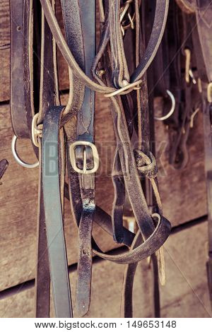 Various horse tack items hang in a stable.