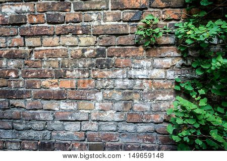 Fragment of the wall enclosing the Jewish ghetto during World War II in Warsaw Poland
