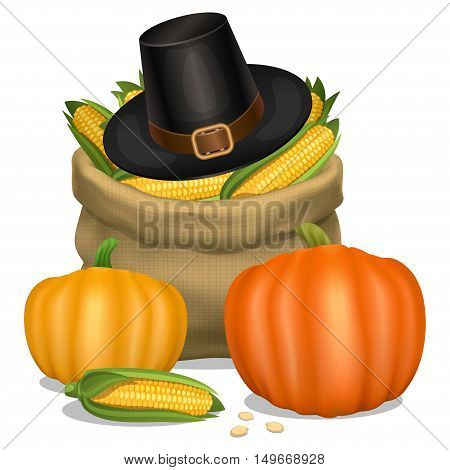 Happy Thanksgiving card. Hat of piligrim with orange pumpkins and bag full corn. Vector illustration