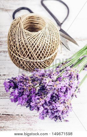 Fresh Lavender