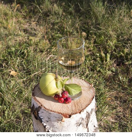 A glass of white wine with аpple on the stump