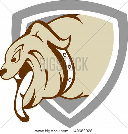 stock logo bull dog on shield security