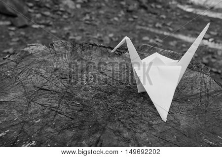 black and white photo of lonely paper crane