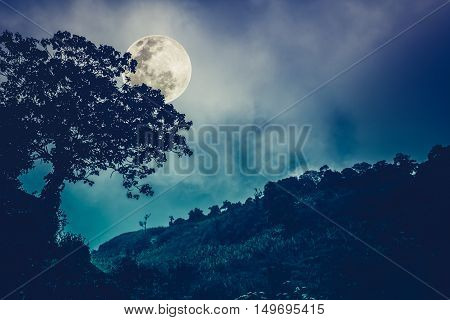Silhouettes of tree against night sky and bright moon beautiful landscape with moon in the night sky. Outdoors. The moon were NOT furnished by NASA. Cross process and vintage tone effect.