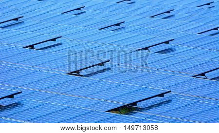 Solar Cell