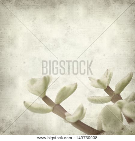 Textured Old Paper Background
