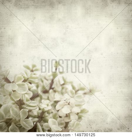 Textured Old Paper Background