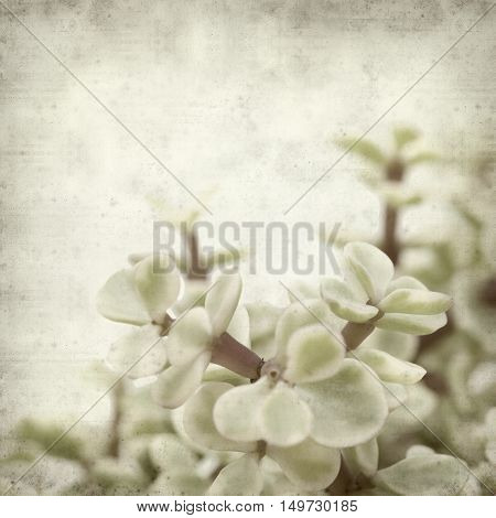 Textured Old Paper Background