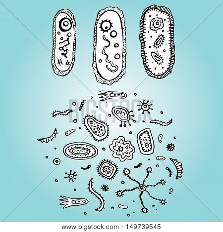 Bacteria. Cells. Microorganisms Under A Microscope. Dirty Surface. Virus. Background.