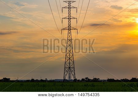 High voltage electrical transmission line and tower in rice field during sunset
