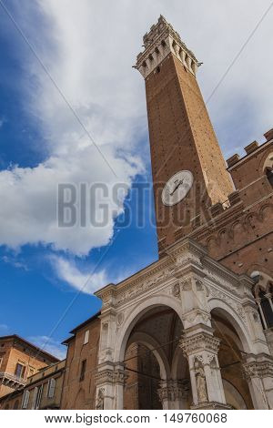 Palazzo Publico And Torre Del Mangia In Siena