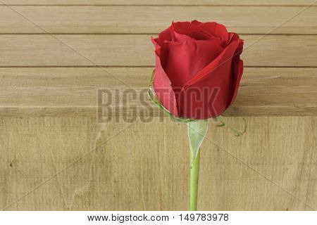 Close up red rose on wood background for background