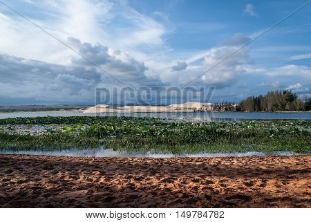 Lake lotus and White Sand Dunes Mui Ne Vietnam