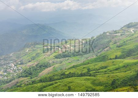 Landscape of the road cuts through the Phu Tubberk mountains in Thailand