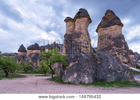 Famous mushroom valley in Cappadocia, Turkey