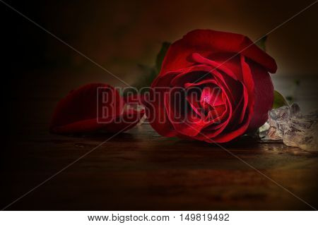 Texture Of Sigle Red Rose With Ice On Wooden Table In Vintage Style