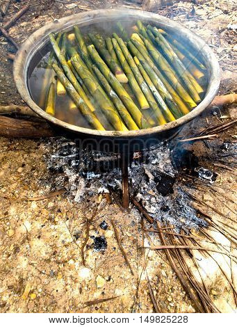 bamboo shoot boil in hot water / cooking
