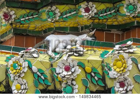 Sleeping cat on a decorative column in Wat Po, Bangkok Thailand