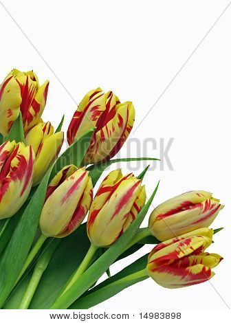 Rode & gele Tulip boeket