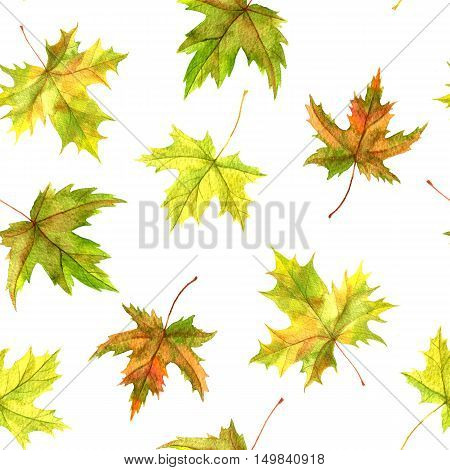 seamless patttern with realistic watercolor autumn leaves of maple tree, hand drawn nature background, floral ornament