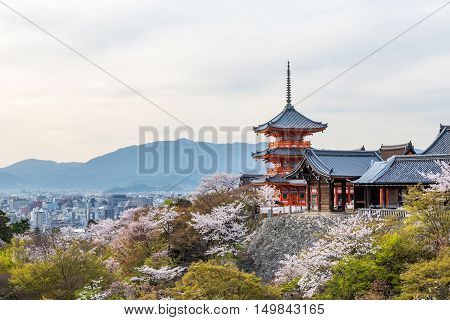 Kiyomizu dera temple in spring with sakura