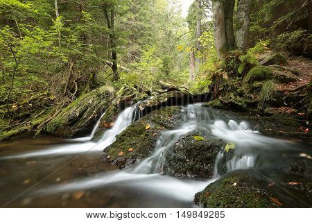 Forest stream autumn Nature background Forest stream river Nature background Forest stream brook Nature background Forest stream fall deciduous trees water Nature background foliage leaves waterfall Nature background Natural environment Nature background.