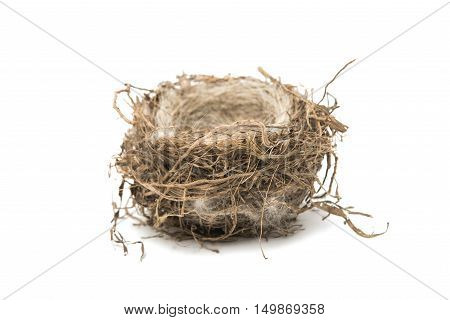 bird's nest isolated on a white background