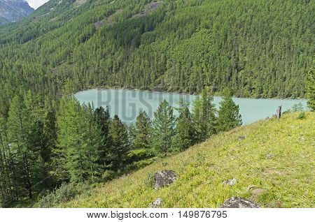 Small mountain lake - Kucherla river reach. Altai Mountains Russia. Sunny summer day.