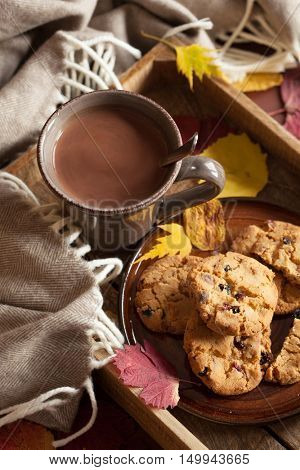hot chocolate warming drink wool throw cozy autumn leaves cookies