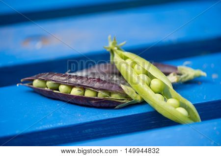 open marrowfat and green peas on blue background