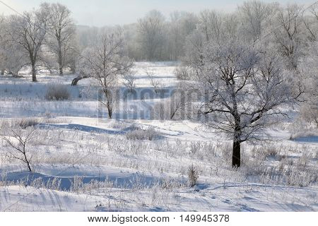 Winter Day