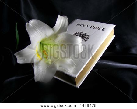 Bibbia di Pasqua