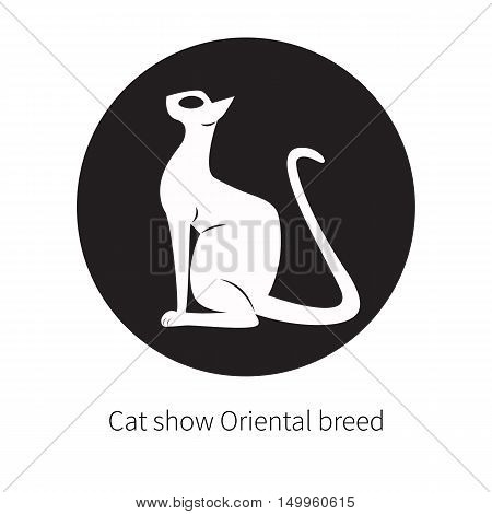 Oriental shorthair cat isolated. Flat logo domestic cat with large ears and eye. Black silhouette eastern egyptian cat. Elegant circle badge label sticker for cat show oriental breed.