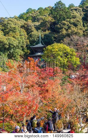 Kyoto, Eikando temple in autumn Japan