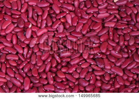Red beans pattern as background  in the big  garden