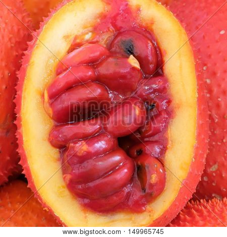 Gac fruit Baby Jackfruit Spiny Bitter Gourd Sweet Grourd or Cochinchin Gourd
