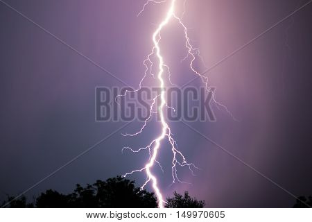 A dramatic bolt of branching lightning silhouettes foreground trees.